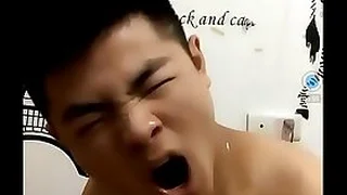Gay TV 36